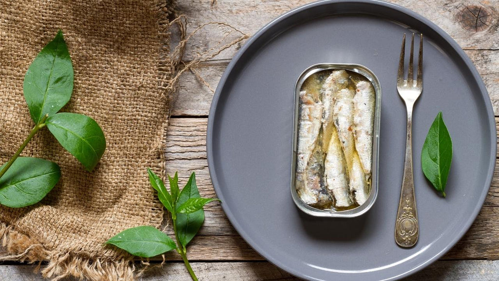Leitfaden für portugiesische Fischkonserven
